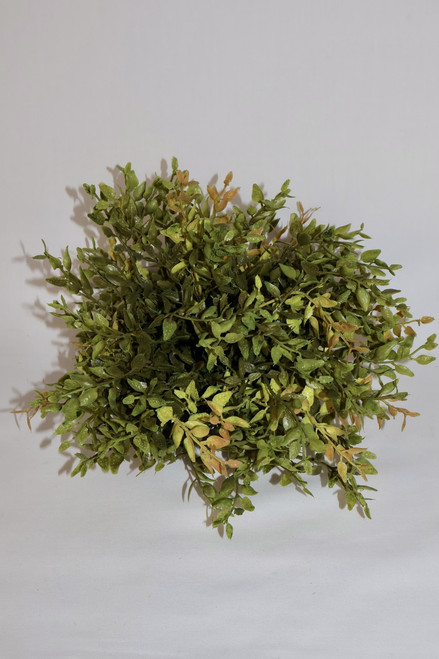 Lemon Beauty Half Sphere - Green