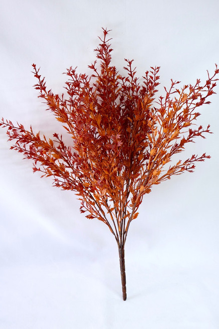 Ever Embers - Bush