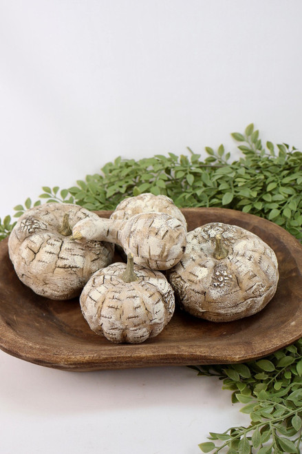 White Birch Pumpkin Box