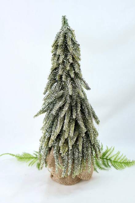 Golden Sparkle Spruce Tree