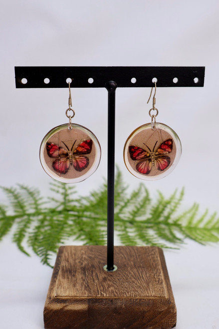 Painted Wings Earrings