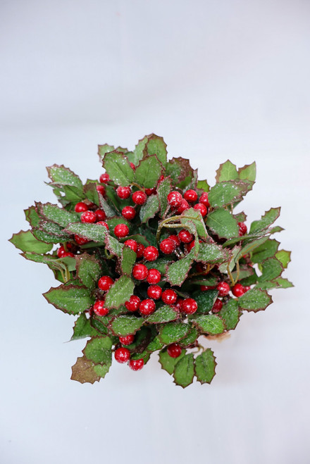 Holly Half Sphere With Berries