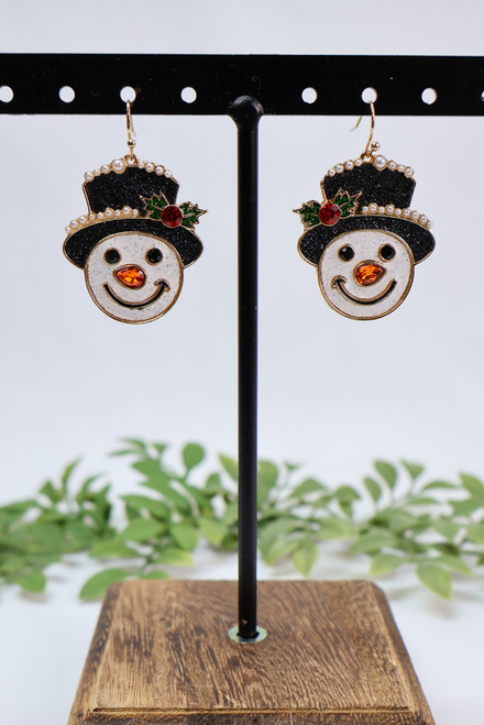 Look At Frosty Go Earrings