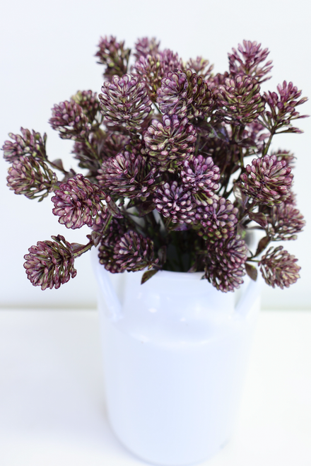 12" Wil-O-Wisp Bush - Purple