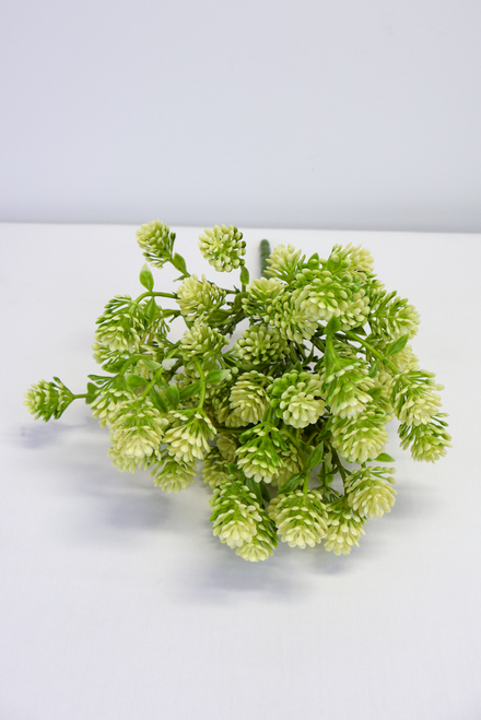 12" Whisper Light Bloom Bush
