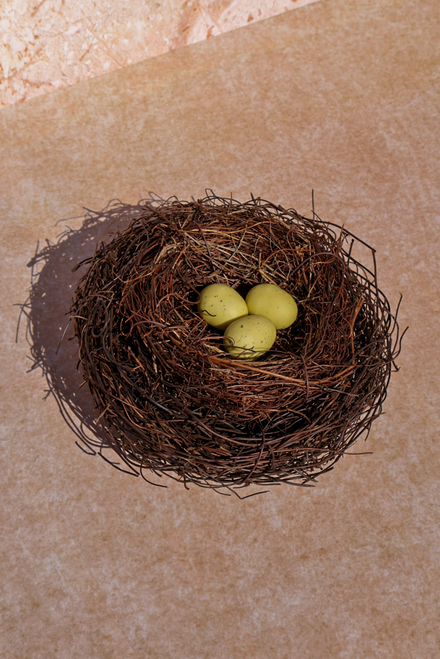 Nestled Spring Eggs In Nest