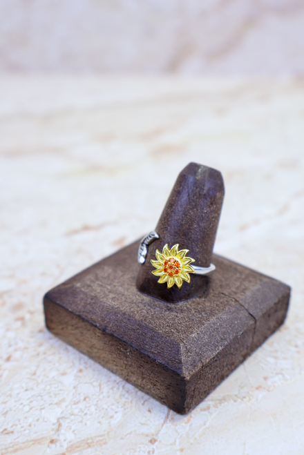 A High Note Spinner Ring