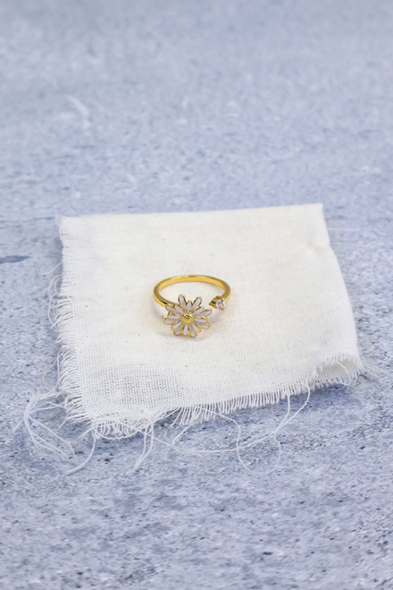 Spinning In The Sunshine Ring