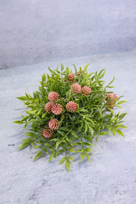 10" Thimble Buds Half Sphere - Pink