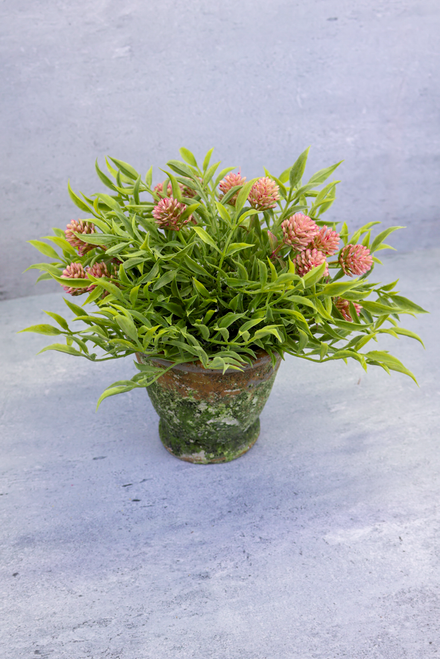 10" Thimble Buds Half Sphere - Pink
