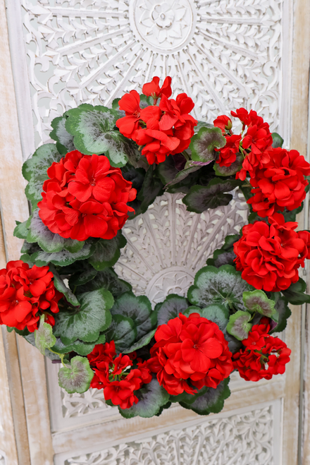 20" Jubilee Geranium Wreath