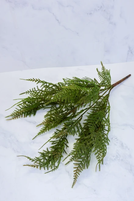 19" Fernbank Pick