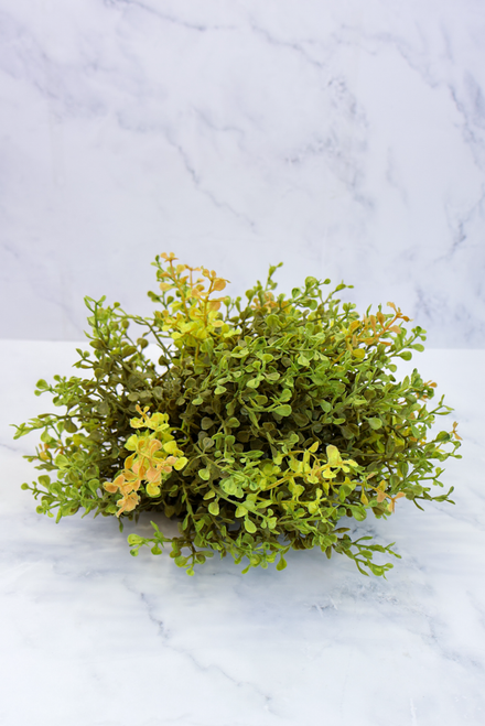 New Green Baby's Grass Half Sphere