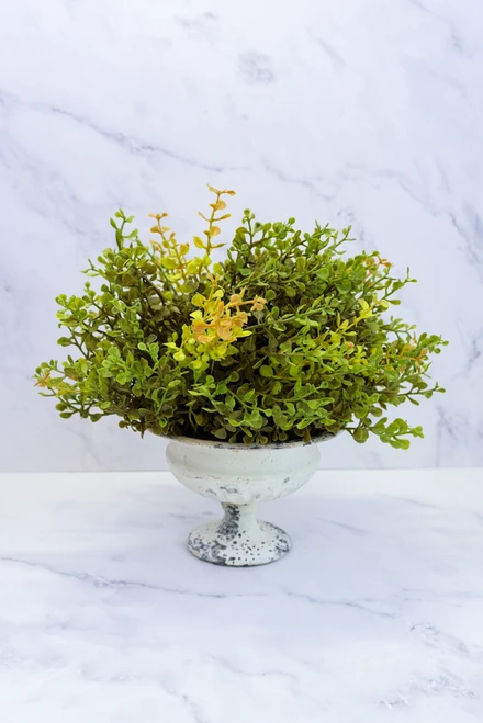 New Green Baby's Grass Half Sphere