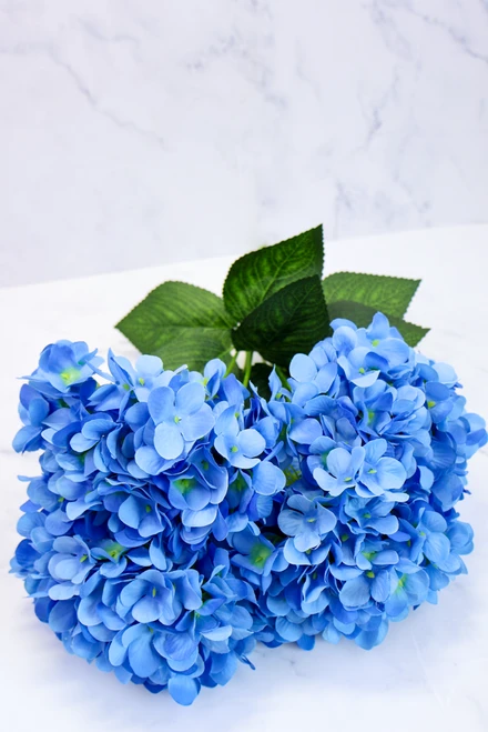 Blue Harkness Hydrangea Stem