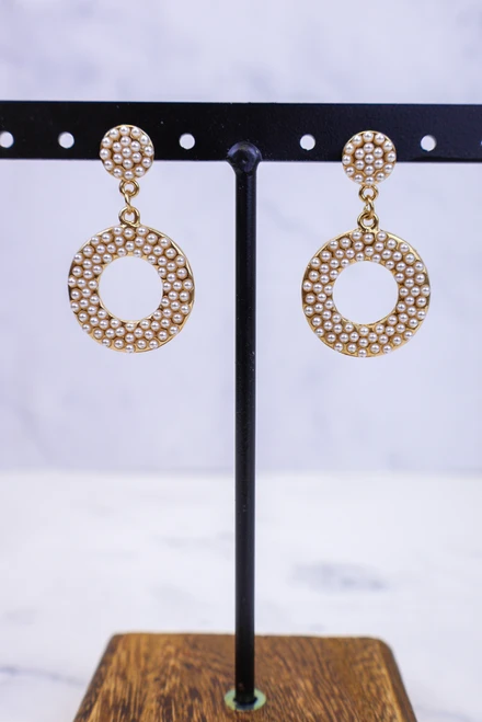 All Around Elegance Earrings