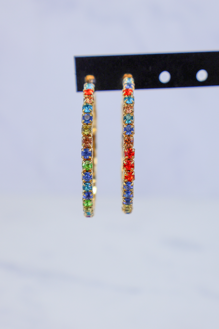 Stop The Show Earrings