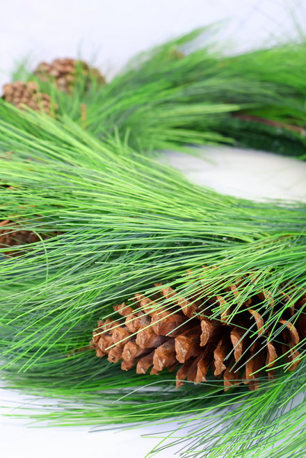 24" Greenbury Bough Wreath