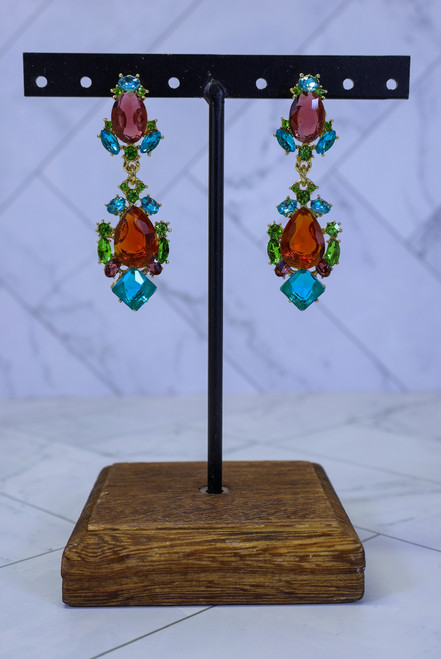 Gem Of The Day Earrings