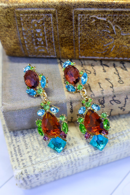 Gem Of The Day Earrings