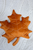 Leaves - Pillow Set
