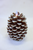 Pinecone Moving Flame LED Candle