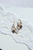 Love Comes In Pairs Earrings