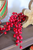 5' Matte Weatherproof Berry Garland