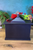 Black - Winter Floral Fireplace Lantern