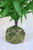 26" Soft Touch Australia Pine Tree With Moss Base