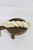 Ivory - Recycled Silk Ribbon Ivory - Recycled Silk Ribbon