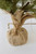 24" Greenup Pinetree With Cones