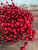 Berry Bush 14" Red (set of 3)