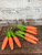 Carrot Bundles (Set of 3)