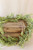 6' Baby's Grass Garland - New Green