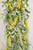 33" Wild Wonder Hanging Bush - Yellow
