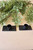 3" Iron Taper Holder (Set Of 2)