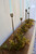 6' Harvest Mexican Fern Garland