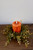 12" Harvest Mexican Fern Candle Ring