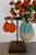 A Pop Of Color Earrings