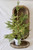 Small Christmas Tree With Lights