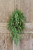 Cedar And Pinecone Drip Garland