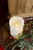 Medium Strand Light LED Pillar Medium Strand Light LED Pillar