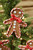 2 Assorted Gingerbread Sprays 2 Assorted Gingerbread Sprays