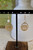 Such A Tree-t Earrings - Gold