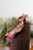 I'll Be Around Bracelet - Pink *FINAL SALE*