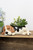 Ceramic Beagle Planter