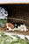 Ceramic Beagle Planter