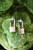 Locked On You Earrings