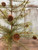 Cypress Tree With Pine Cones - 24"